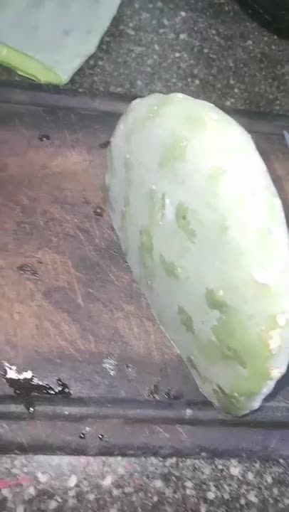 Hizo una milanesa de cactus y fue viral