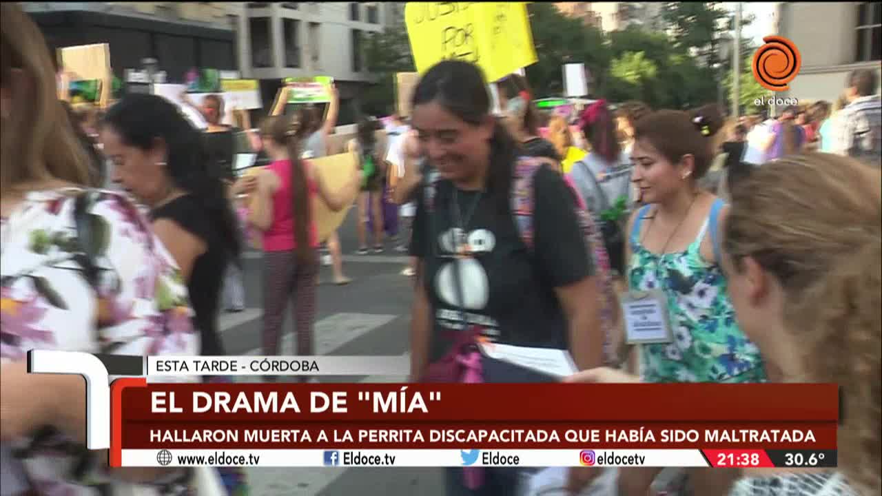 Marcharon para pedir justicia por la muerte de la perrita con discapacidad