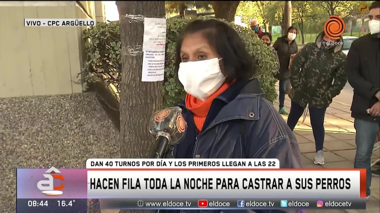 Pasan toda la noche para conseguir un turno para castrar a sus mascotas