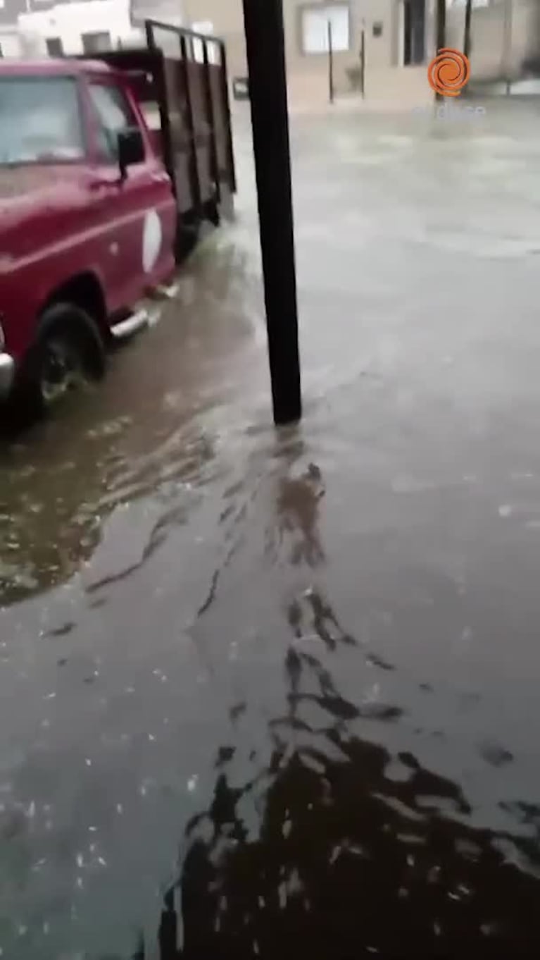 Fuerte caída de granizo y lluvia en el sur provincial