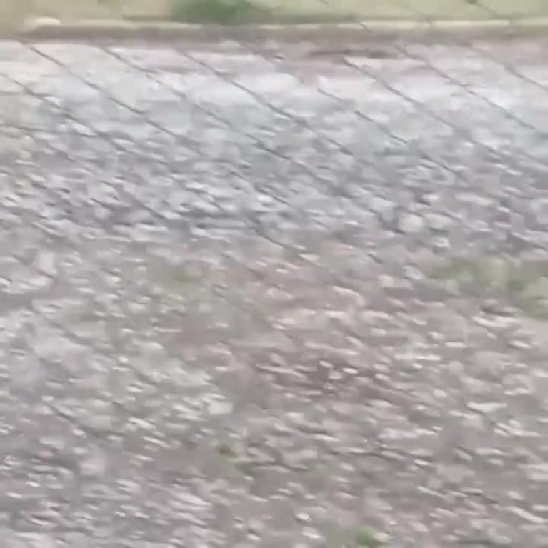 Video Placeholder
