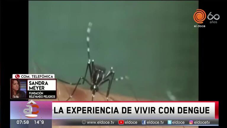 Vivir con dengue: el relato de una cordobesa