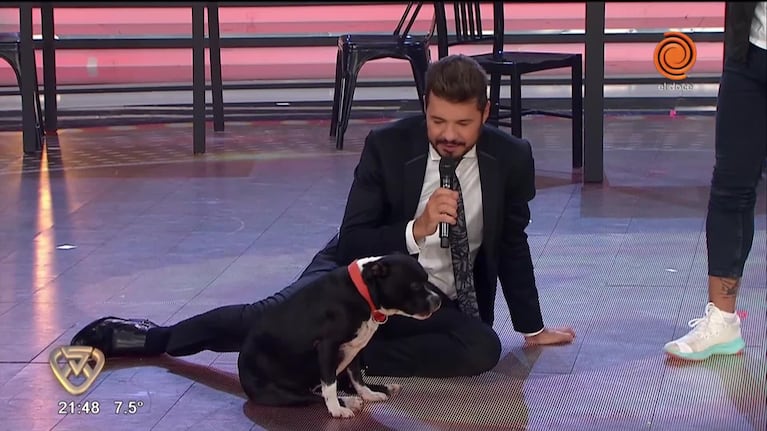 Tinelli, enamorado de la perrita de Cachete Sierra