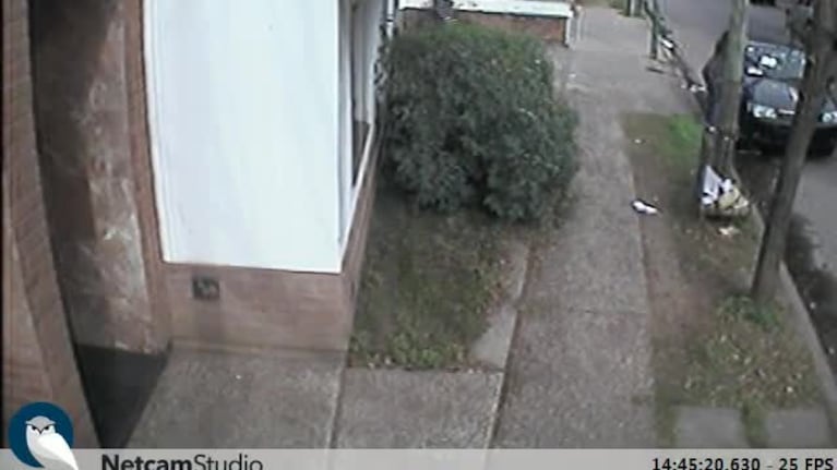 La reacción de una mujer cuando vio su auto empapelado