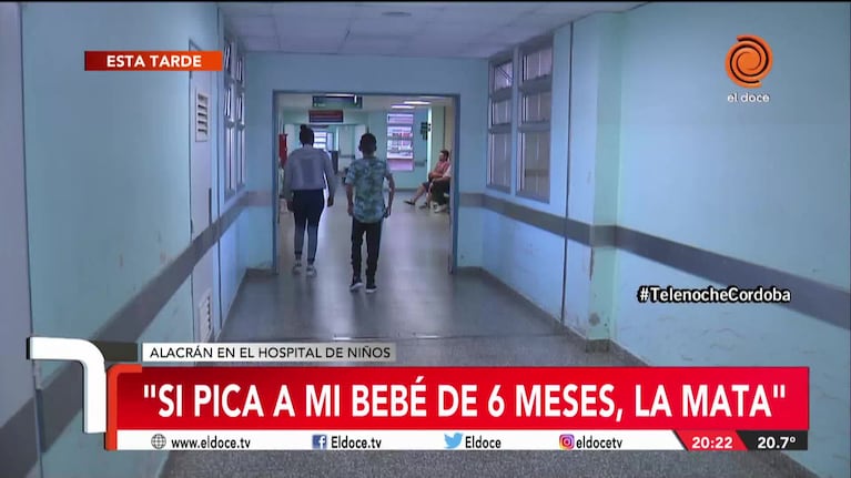 El director del Hospital de Niños: "Hay alacranes por todos lados"