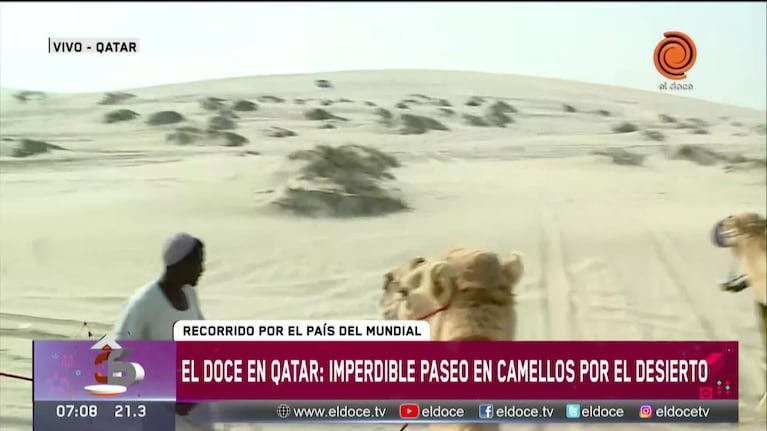 Antes de la final, El Doce en el desierto de Qatar