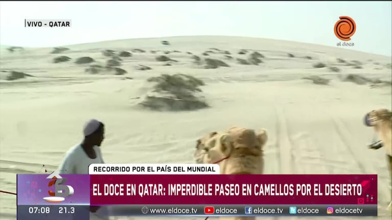 Antes de la final, El Doce en el desierto de Qatar
