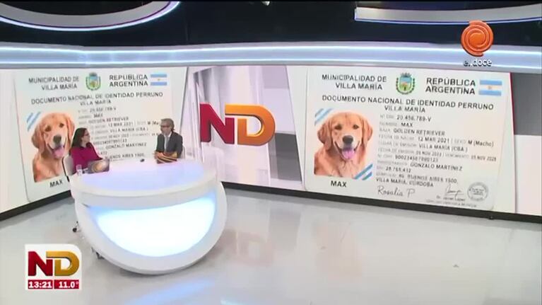 Villa María tendrá DNI obligatorios para perros y gatos