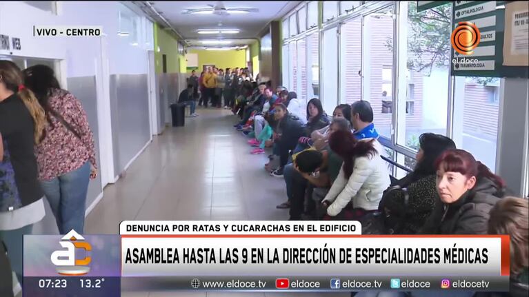 Asamblea en la dirección de especialidades médicas por ratas