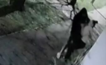 Violento asalto en Villa Belgrano: la golpearon y la arrastraron para robarle