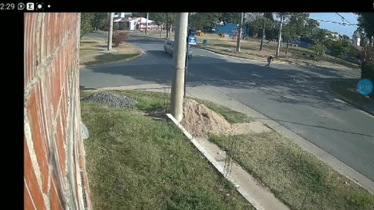 Se llevaron un pitbull cachorro de una casa de Villa Allende