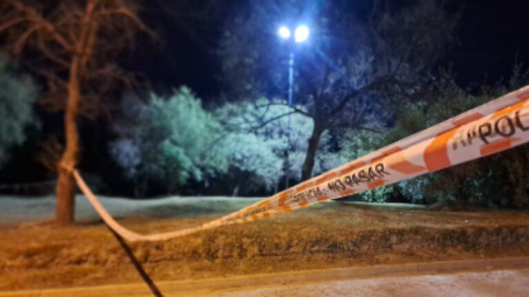 La abogada del guardia que mató al chico de 15 años: “Está esperando a que encuentren al culpable”