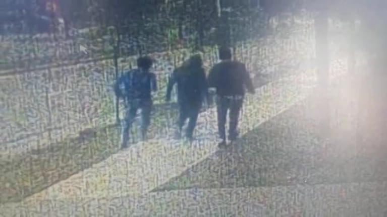 Tres jóvenes destrozaron árboles