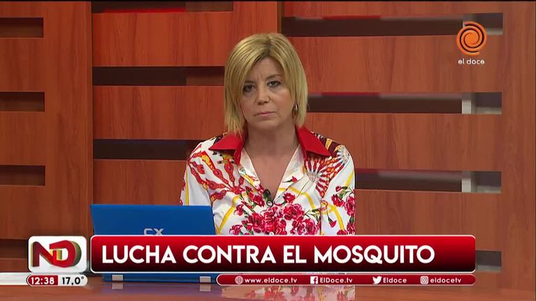 Comenzó la lucha contra el mosquito