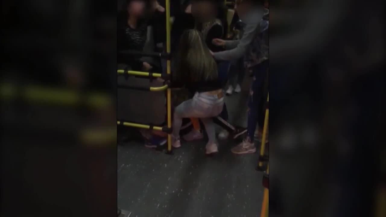 Filmaron una violenta pelea en el colectivo