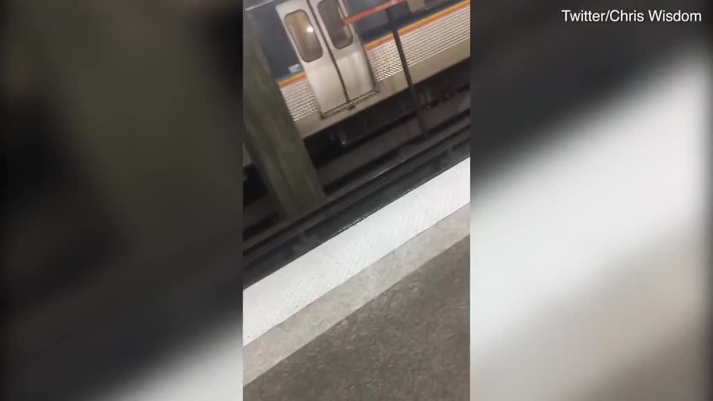 Un tren la arrolló al salvar a su mamá de morir aplastada