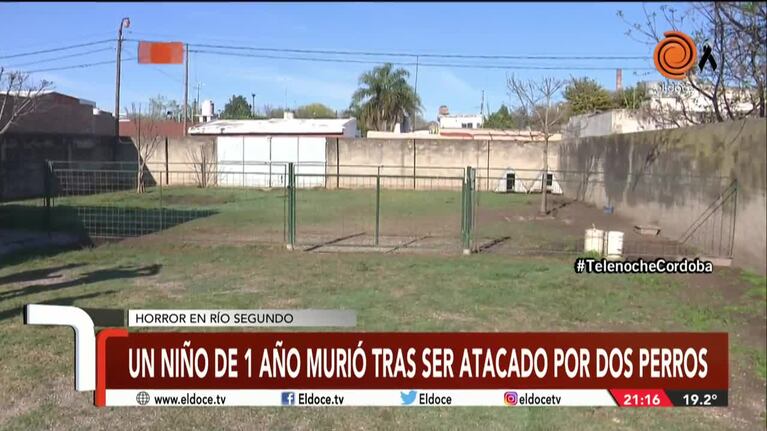 El dolor del abuelo del bebé que murió tras ser atacado por dos perros