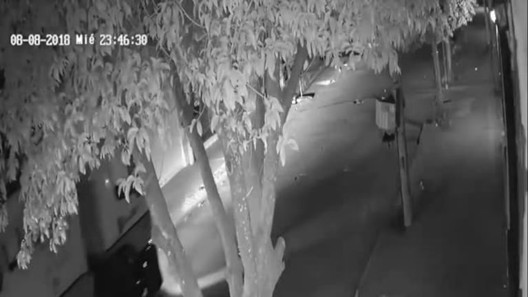 En lugar de recolectar la basura, la tiraron a la vereda