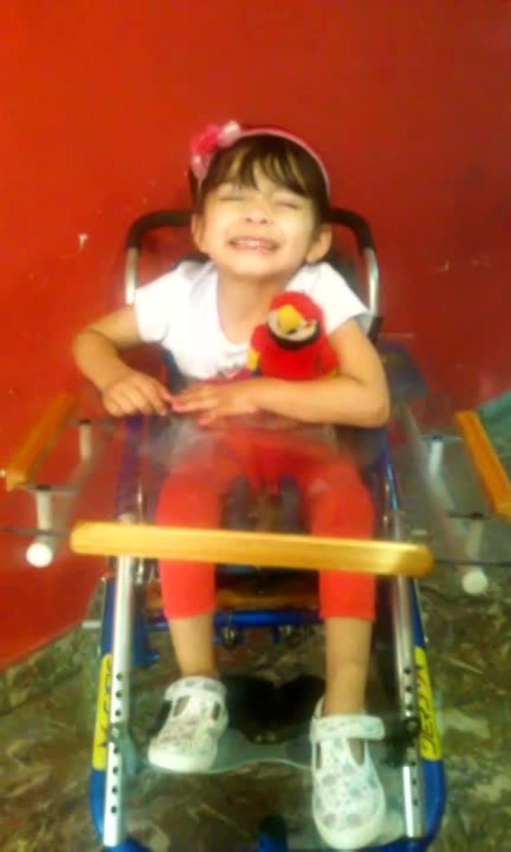 La felicidad de Brianna por su nueva silla de ruedas