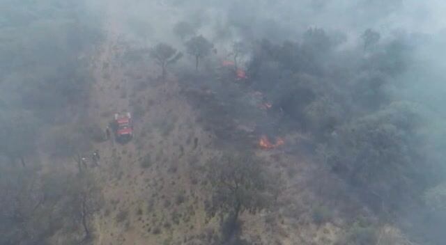 El feroz incendio en La Población, por dentro