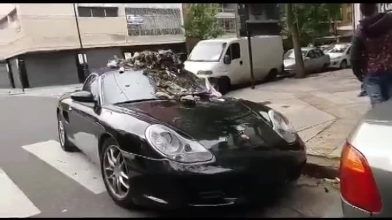 Le taparon el Porsche con basura