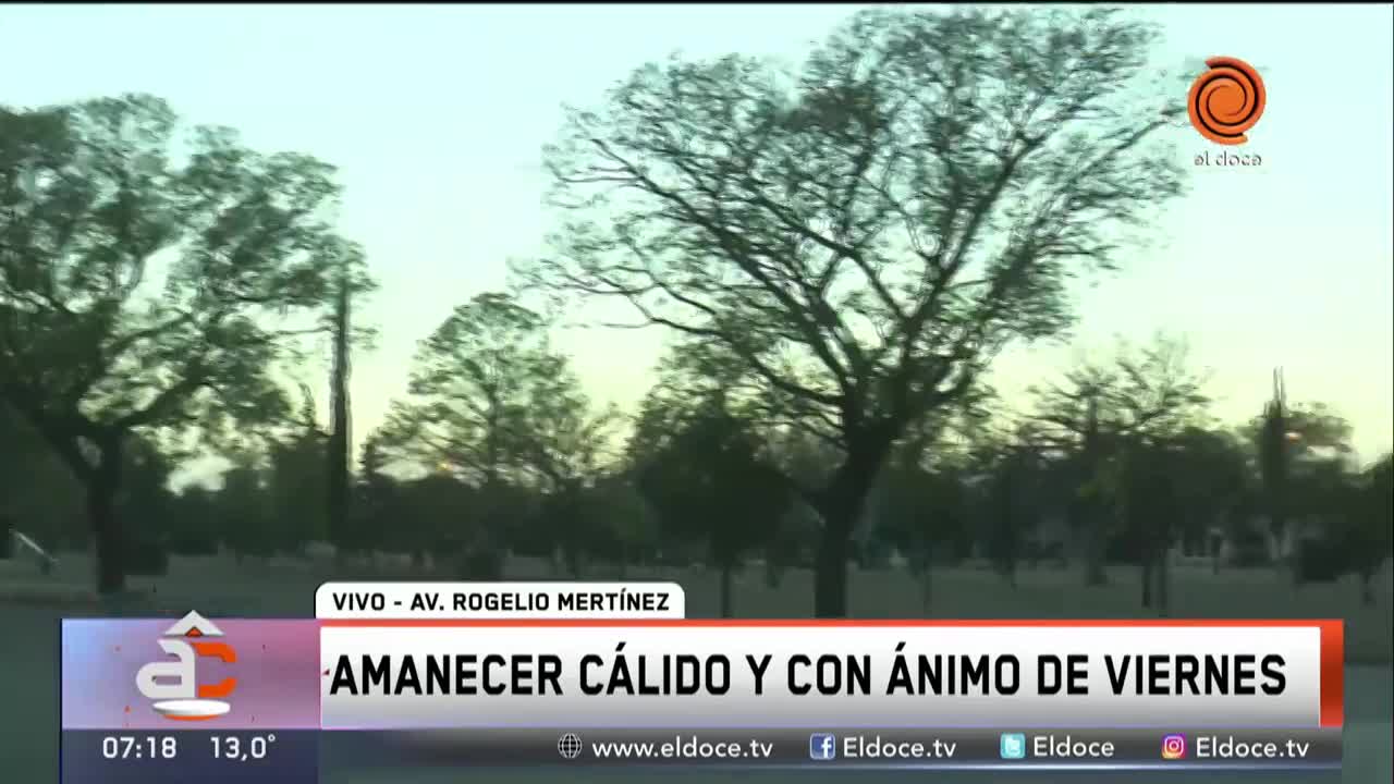 Chocó contra un árbol y se le quemó el auto