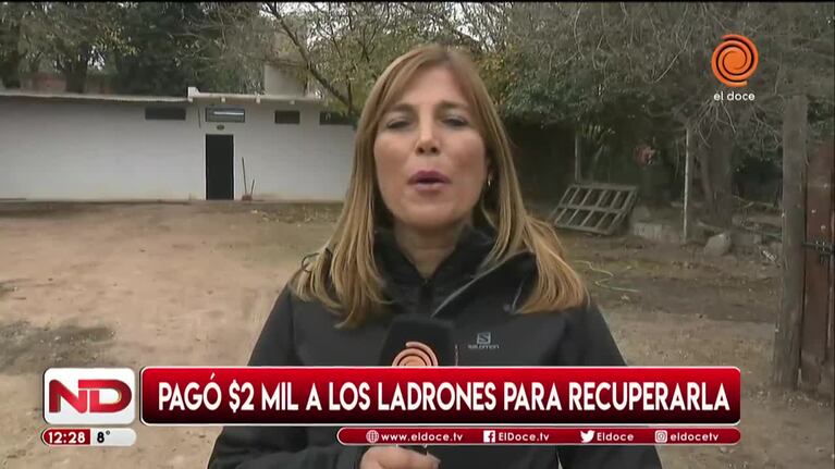 Pagaron un rescate para recuperar a Delfina