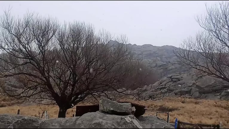 Video Placeholder
