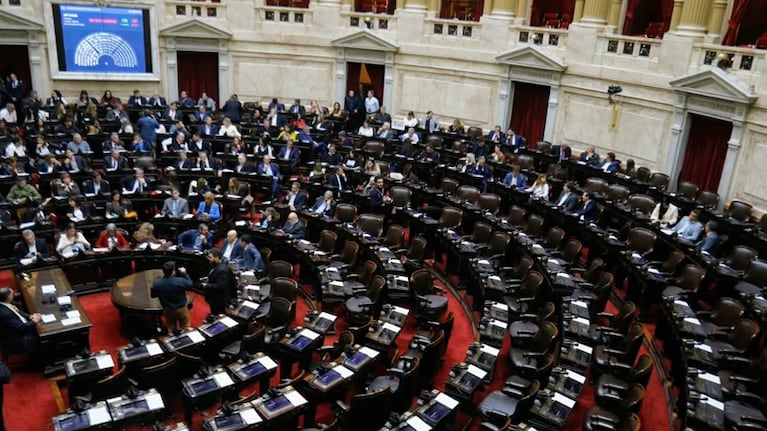 La diputada Torres explicó por qué no dio quórum para derogar el DNU de desregulación económica