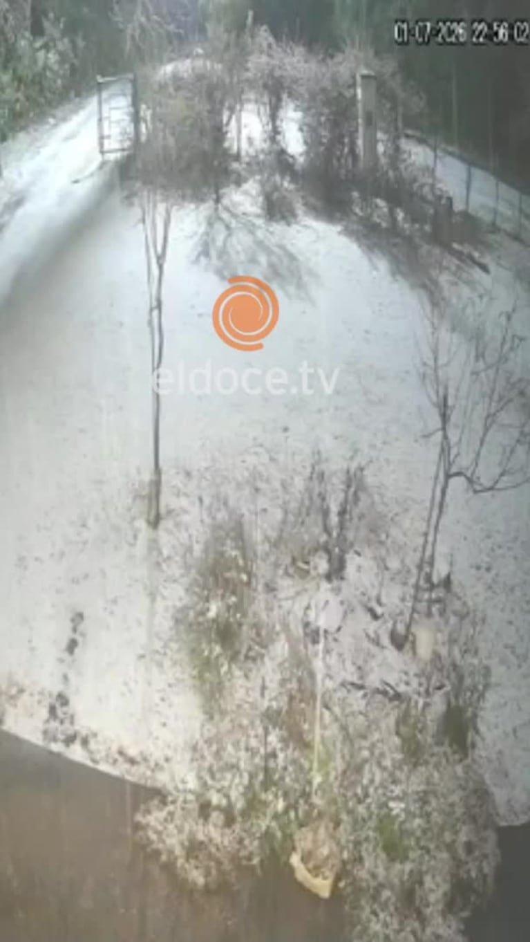 Video Placeholder