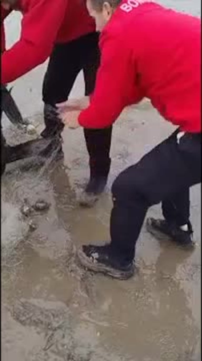 Video Placeholder