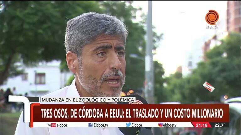 La oposición cuestionó el costoso trasladado de los tres osos a Estados Unidos