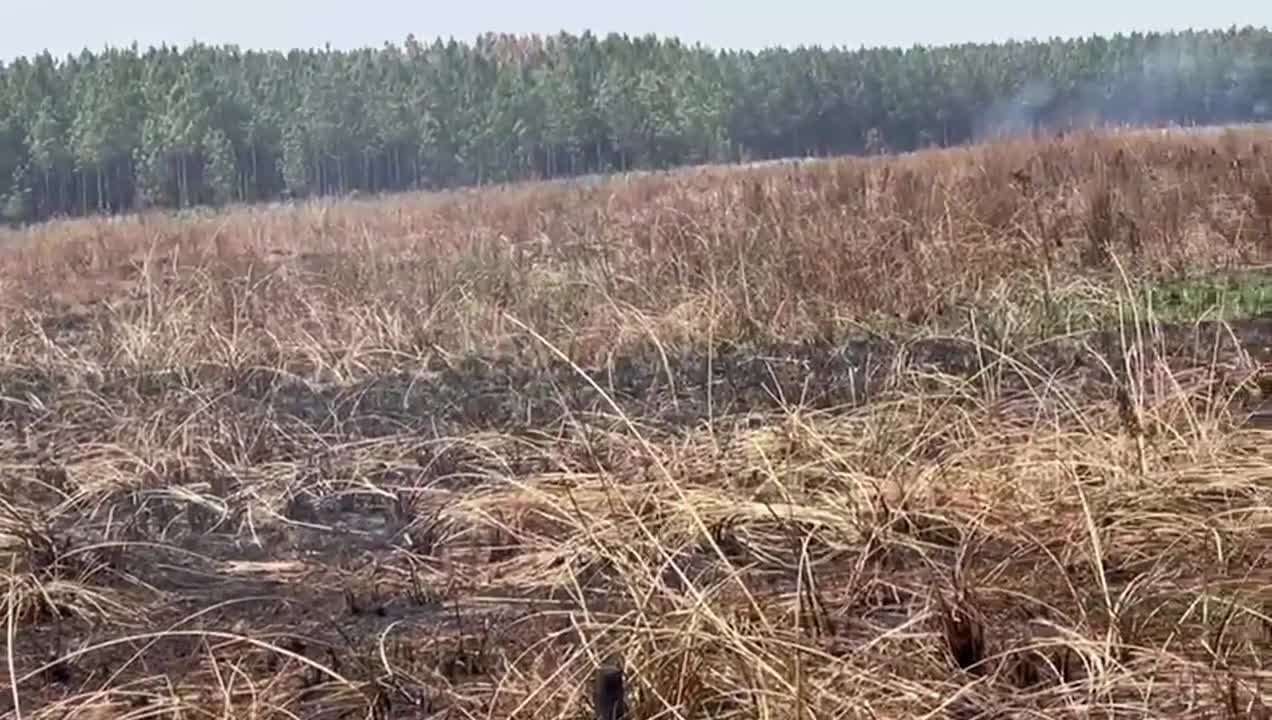 Pese a la ayuda, los incendios en Corrientes no dan tregua