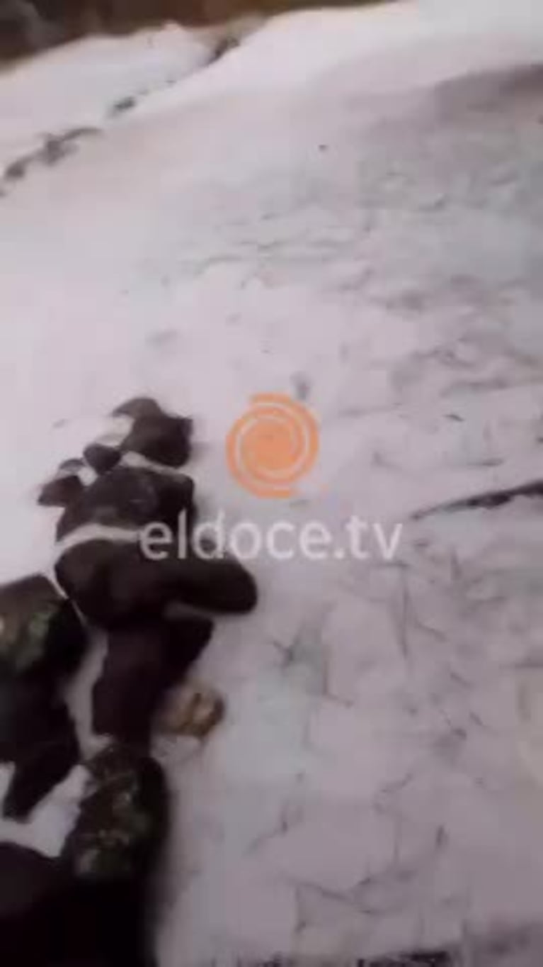 Video Placeholder