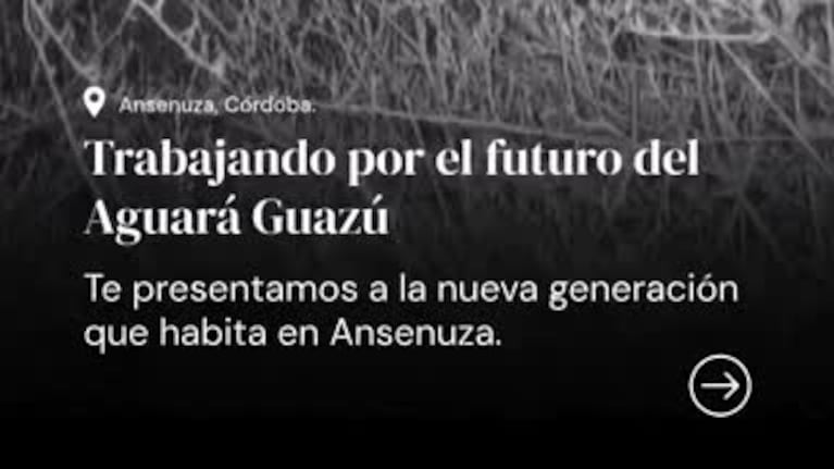 Una nueva generación de Aguará Guazú en Córdoba.