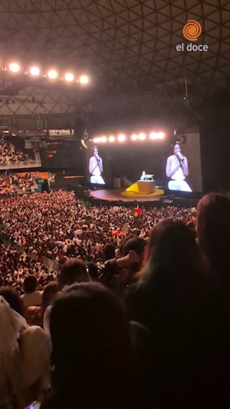 Rosalía detectó una bandera argentina en Chile y el público reaccionó