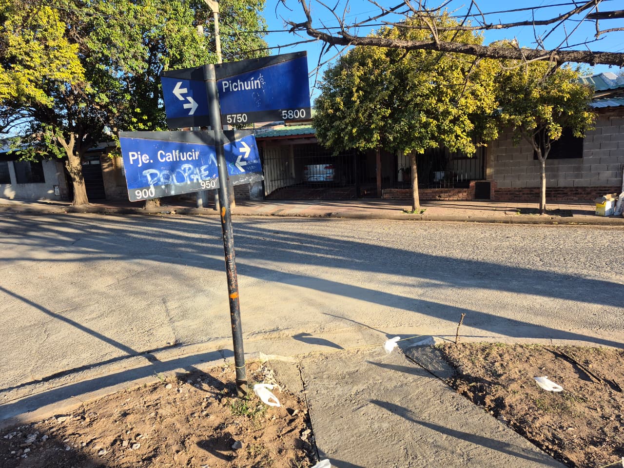 Informe sobe vecinos que construyeron sus propias rampas 
