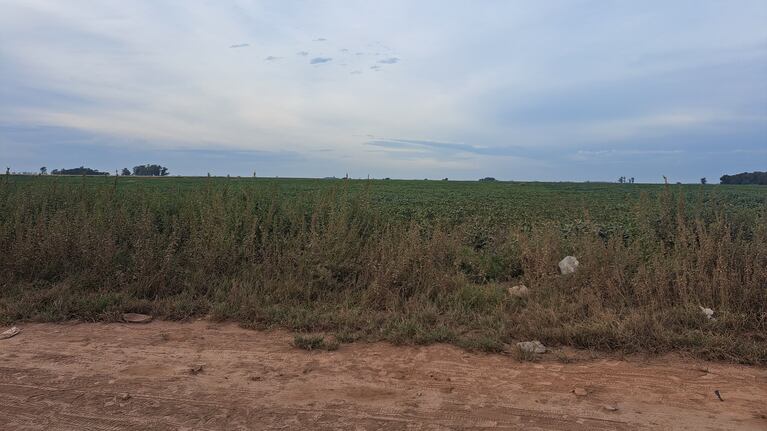 Así es la zona donde buscan a Liam en Ballesteros Sud