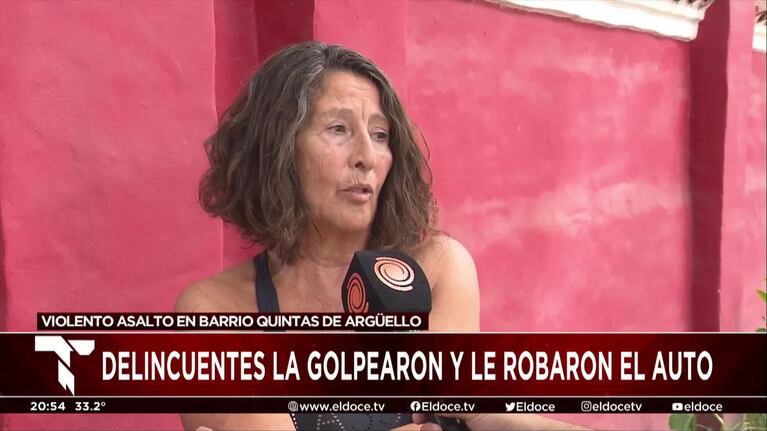 El relato de la mujer golpeada por ladrones que le robaron el auto