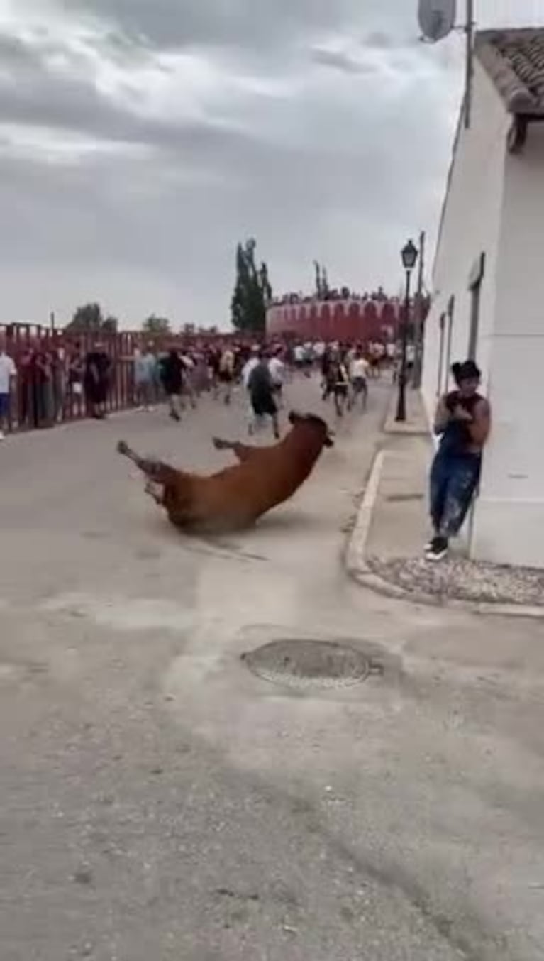 Impresionante golpes de un toro a una joven