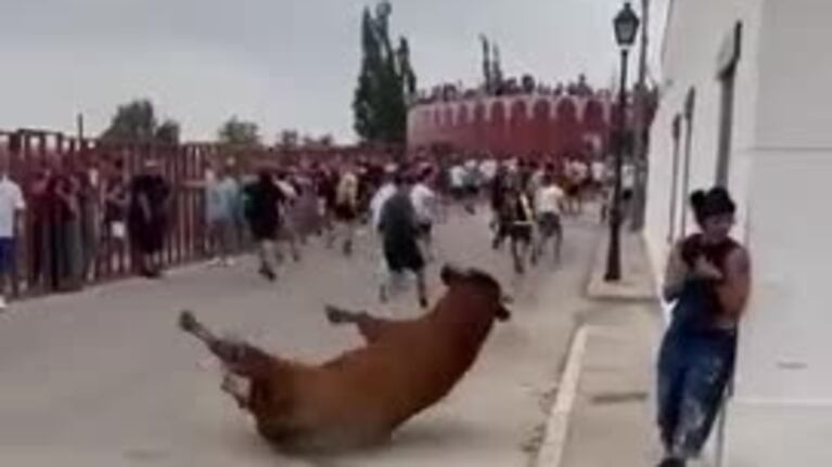 Impresionante golpes de un toro a una joven