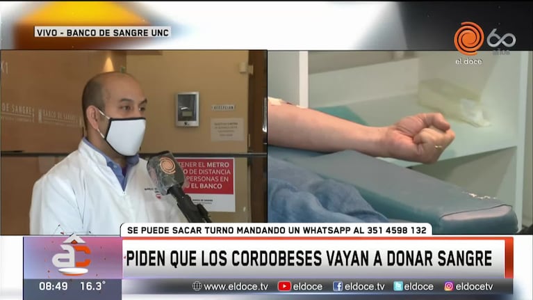 Piden que los cordobeses vayan a donar sangre: cómo sacar turnos