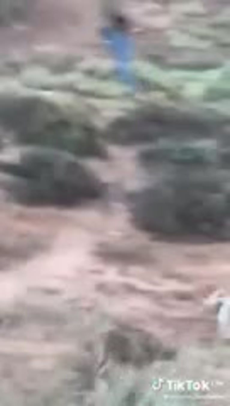 Video: así fue el impactante ataque del búfalo al cazador mexicano en Entre Ríos