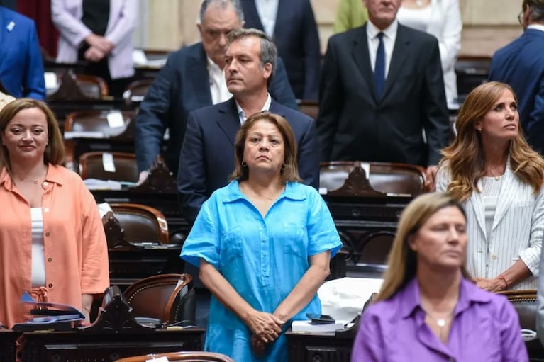 El insólito blooper viral de una diputada K en el Congreso