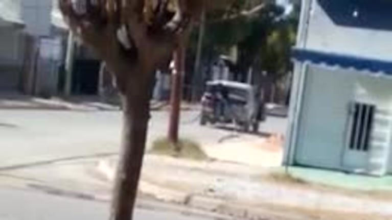 Robo registrado de cables en barrio Cabildo