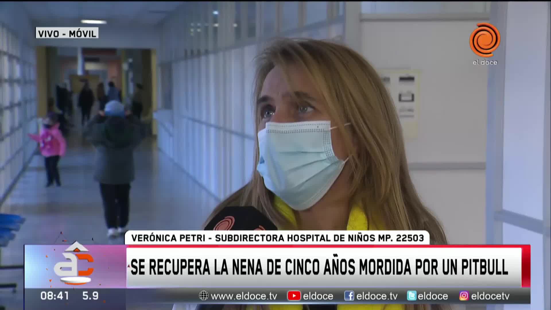 Una nena fue atacada por un pitbull: sufrió múltiples heridas en su cuerpo