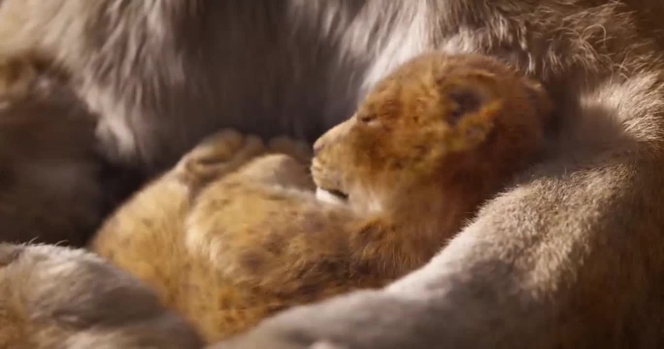 Salió el primer trailer de El Rey León