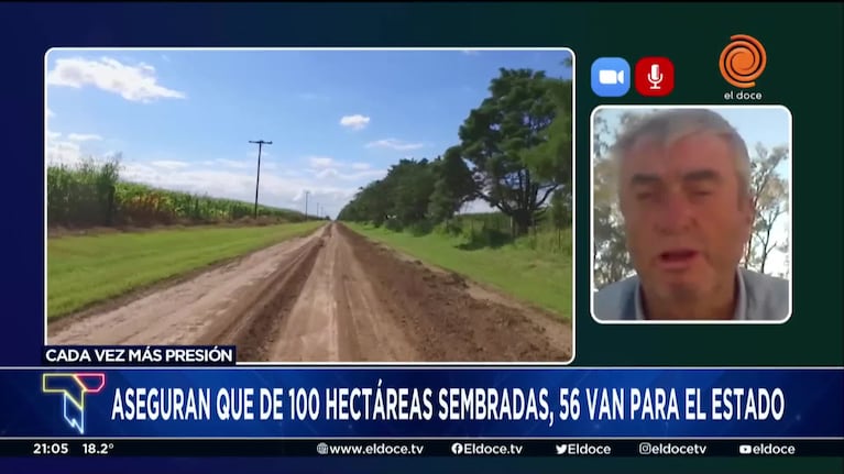 Un productor aseguró que de 100 hectáreas sembradas, 56 van para el Estado