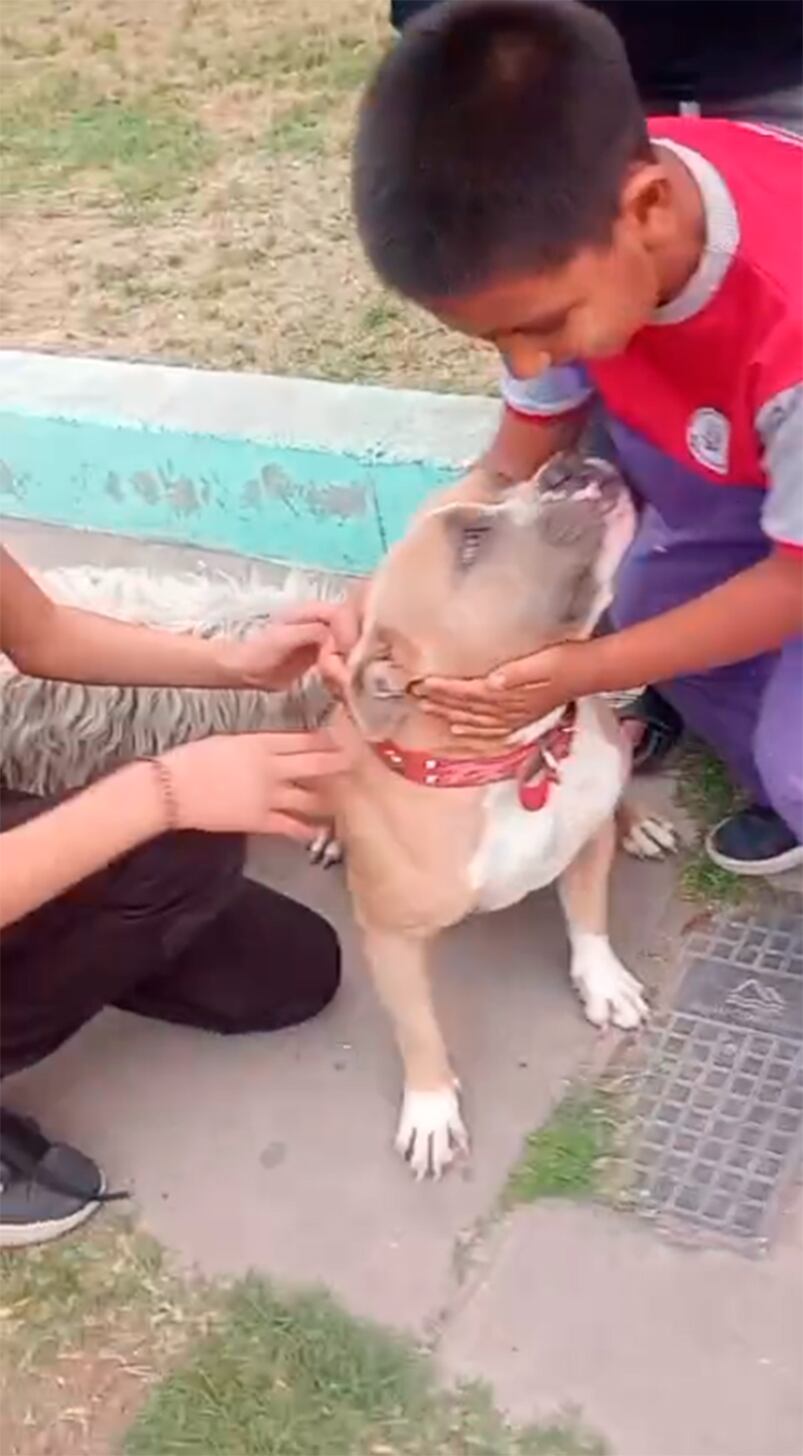 El emotivo reencuentro con Sasha