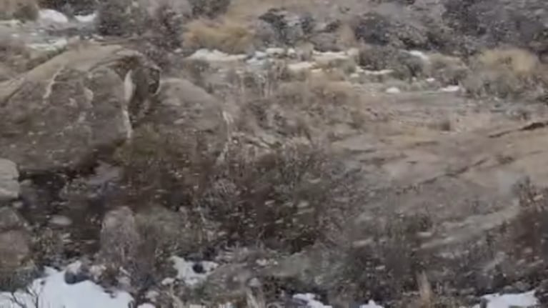 La nevada dejó a Córdoba cubierta de blanco